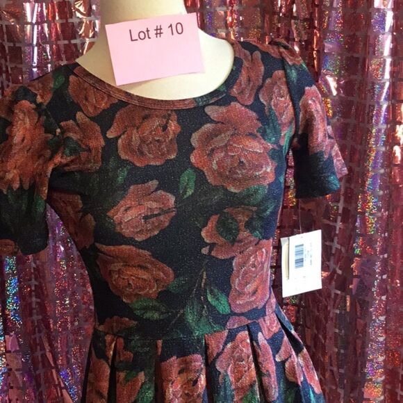 NWT LULAROE AMELIA dress in size extra small vintage rose design - Picture 3 of 15
